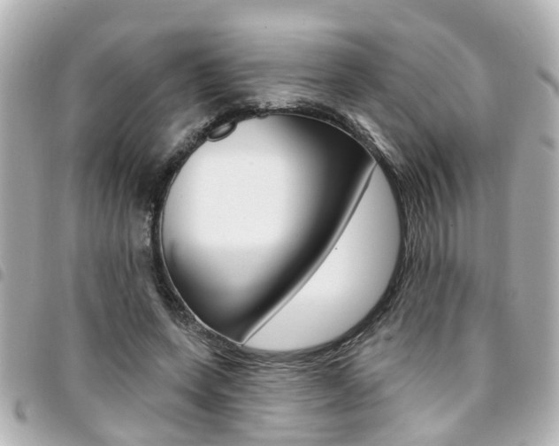 X0000094440543200711081027