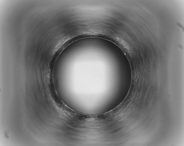X0000094440544200711081027