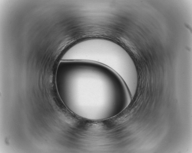 X0000094440548200711081028
