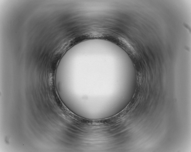 X0000094440549200711081028