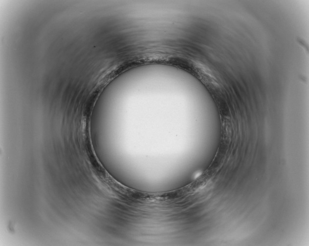 X0000094440550200711081028