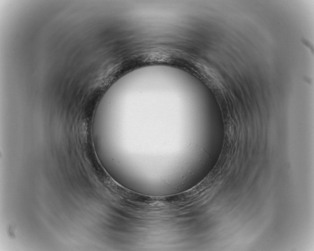 X0000094440551200711081028