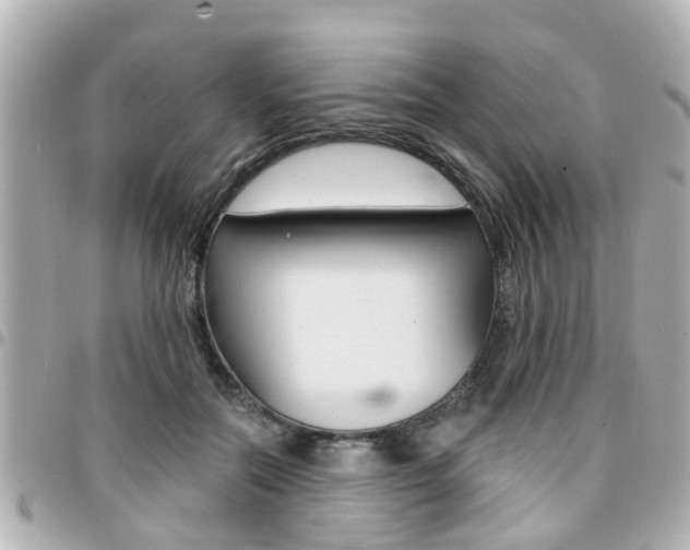 X0000094440554200711081028