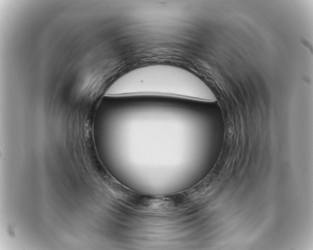 X0000094440555200711081028