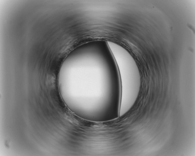 X0000094440556200711081028