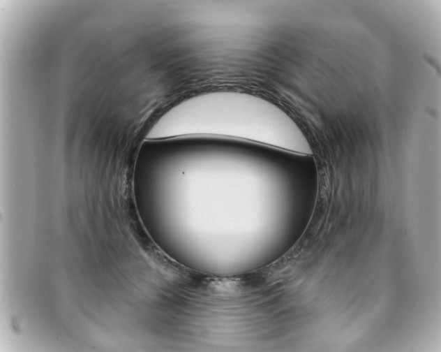 X0000094440560200711081028