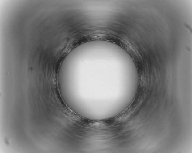X0000094440561200711081028