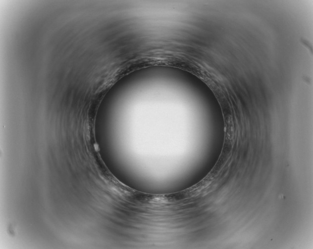X0000094440562200711081028