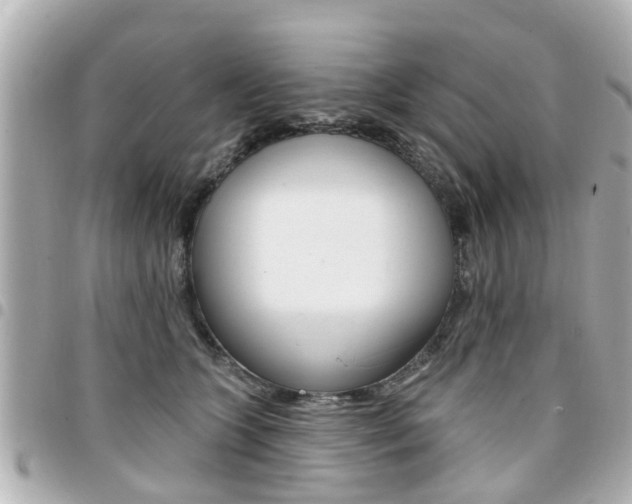X0000094440563200711081028