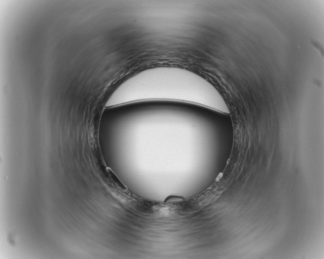 X0000094440564200711081028