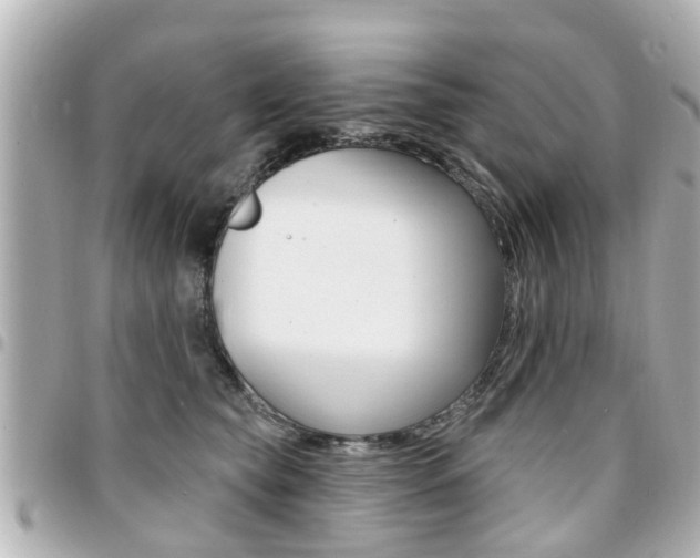 X0000094440565200711081028