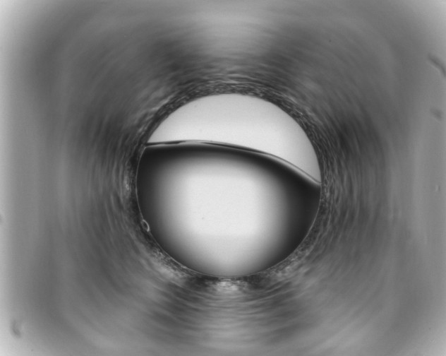 X0000094440566200711081028