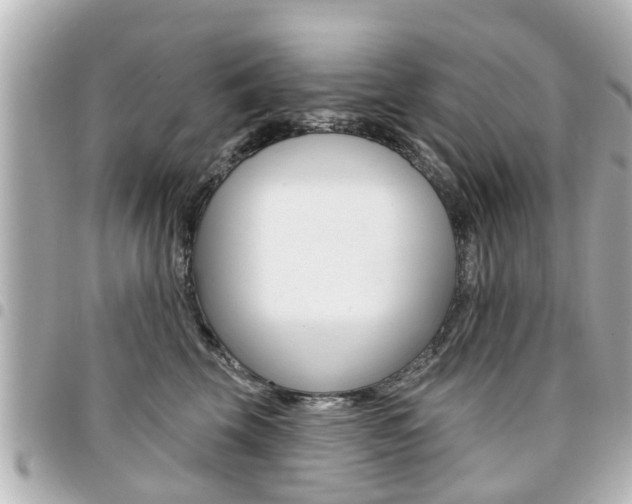 X0000094440569200711081028