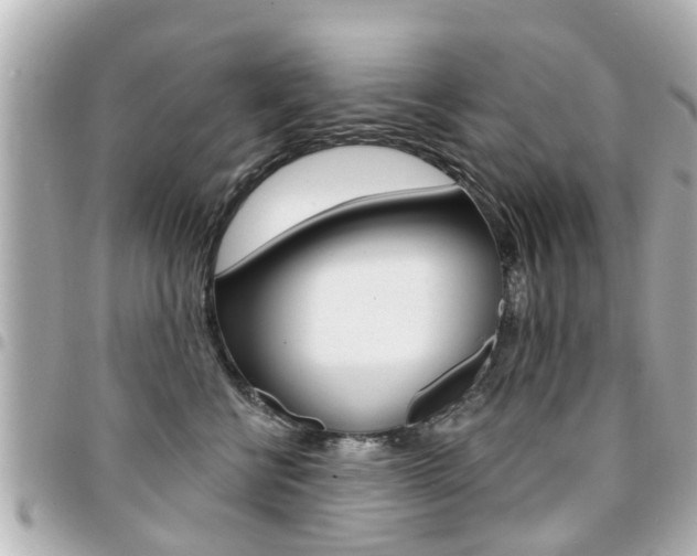 X0000094440570200711081028