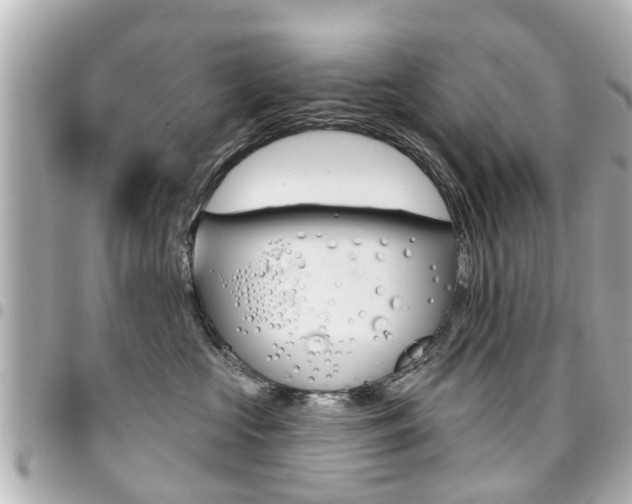 X0000094440573200711081028