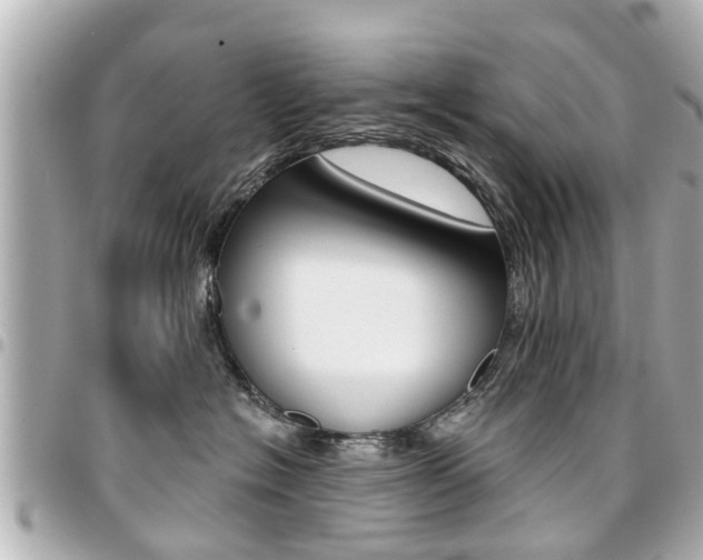 X0000094440574200711081028