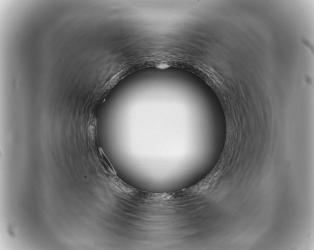 X0000094440576200711081028