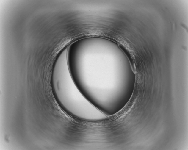 X0000094440577200711081027