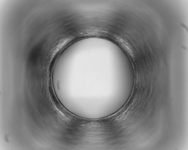 X0000094440578200711081027