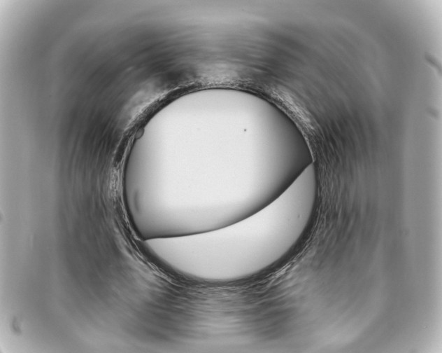 X0000094440583200711081027