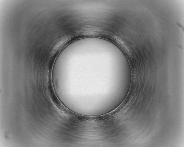 X0000094440586200711081027