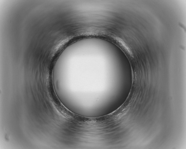 X0000094440588200711081027
