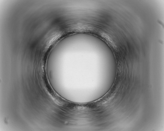 X0000094440590200711081027