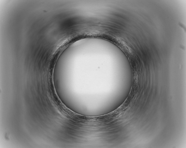 X0000094440591200711081027