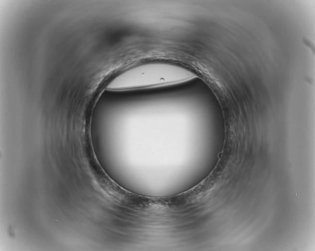 X0000094440592200711081027