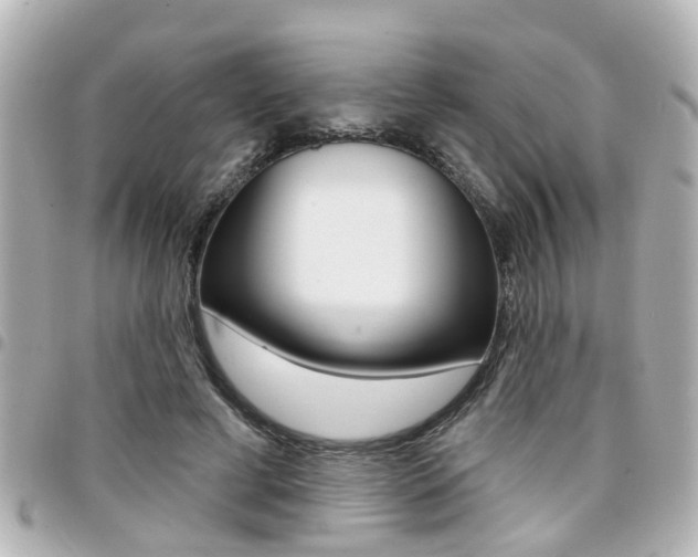 X0000094440593200711081027