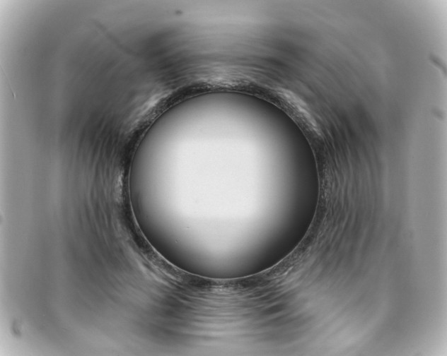 X0000094440596200711081027