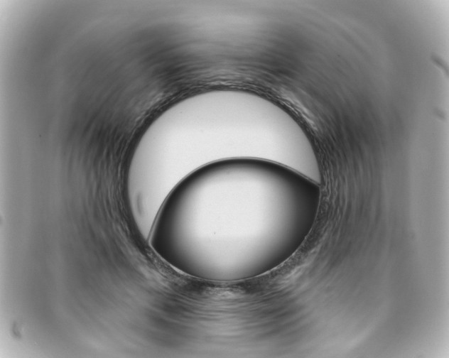 X0000094440597200711081027