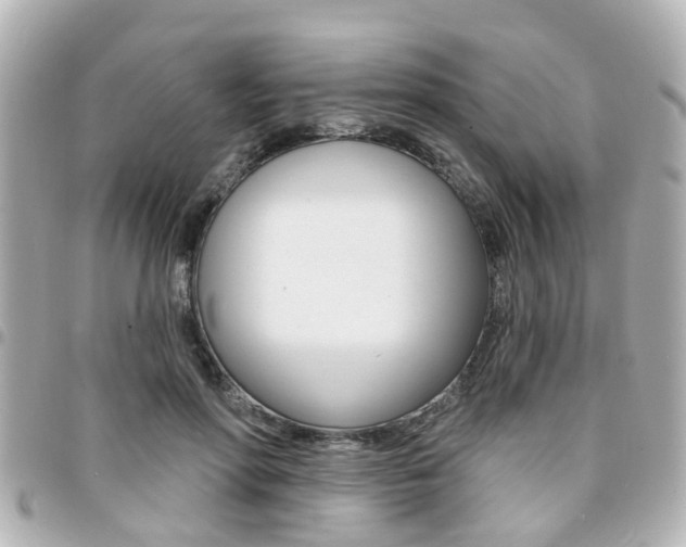 X0000094440598200711081027