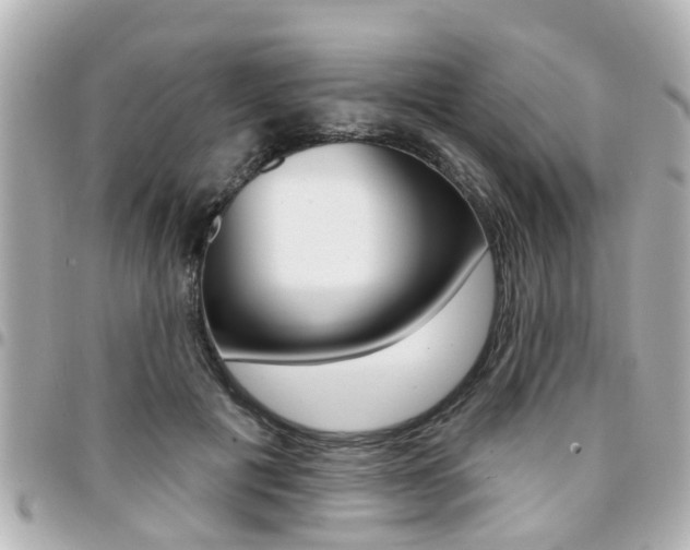 X0000094440601200711081027