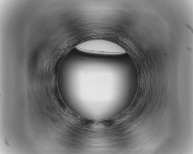 X0000094440604200711081027