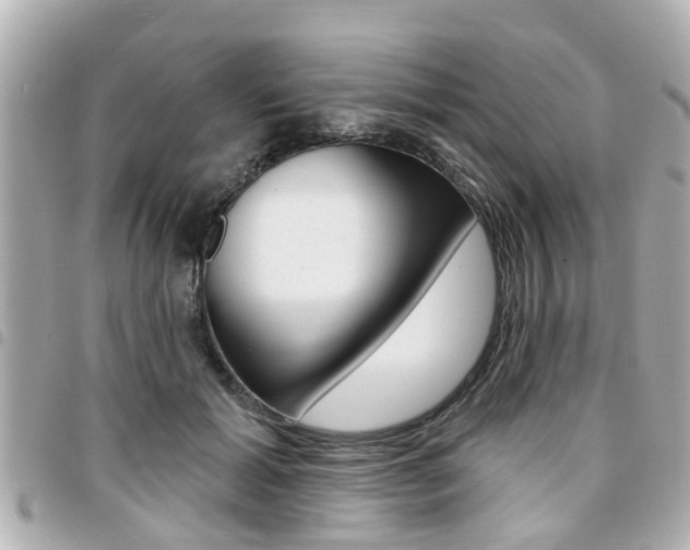 X0000094440605200711081027