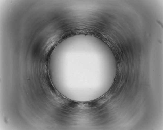 X0000094440606200711081027