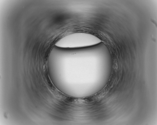 X0000094440607200711081027
