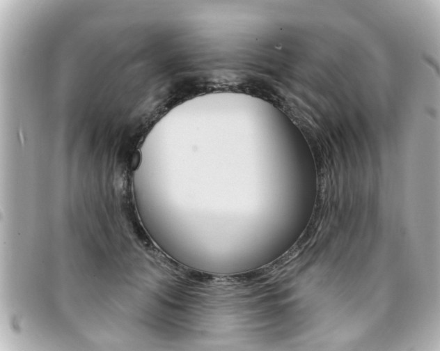 X0000094440608200711081027