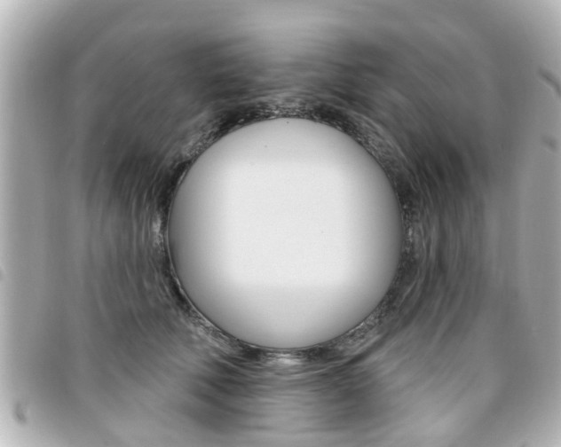 X0000094440610200711081027