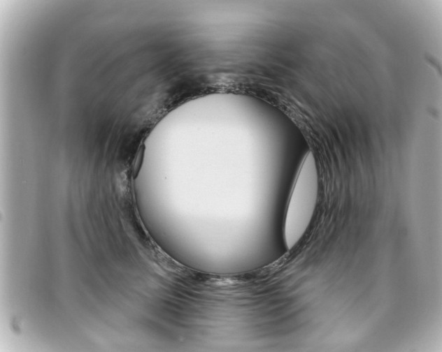 X0000094440611200711081027