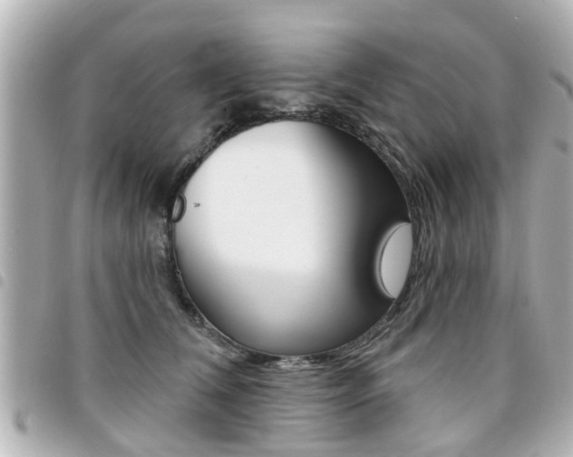 X0000094440612200711081027