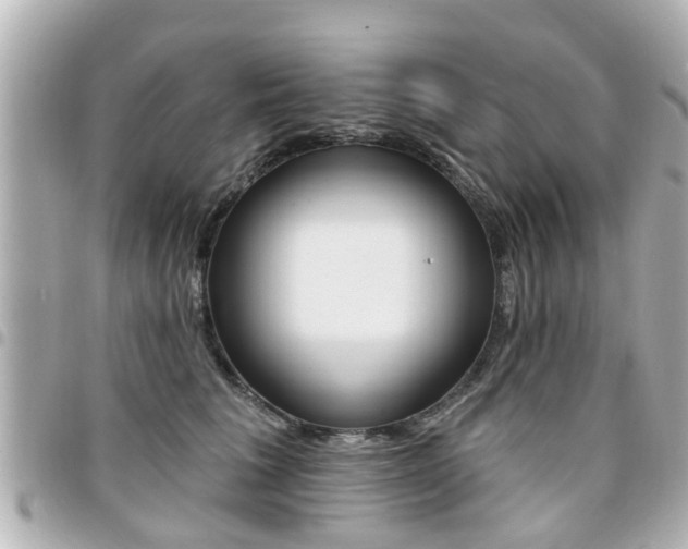 X0000094440613200711081027