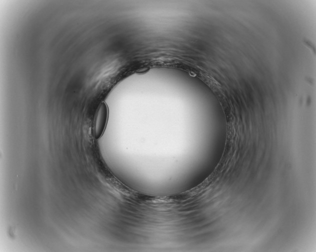 X0000094440615200711081027