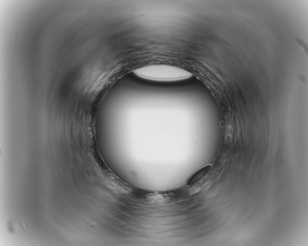 X0000094440616200711081027