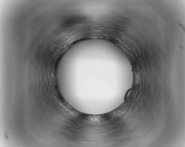 X0000094440618200711081027