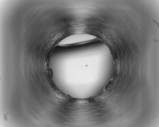 X0000094440619200711081027
