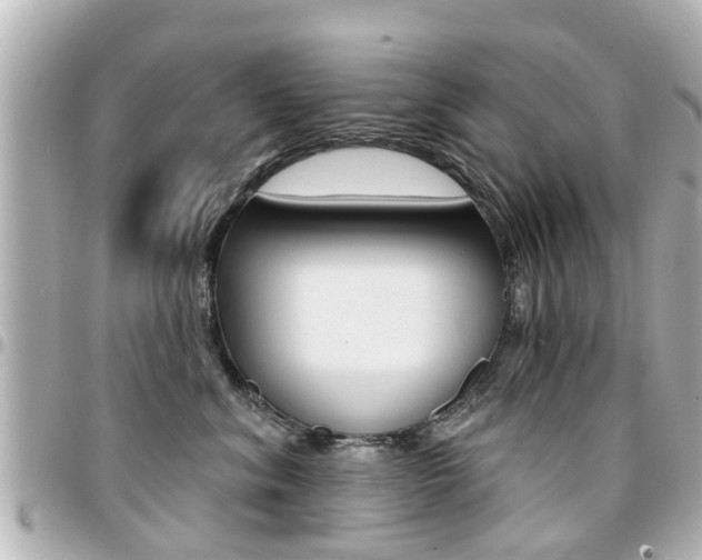 X0000094440620200711081027