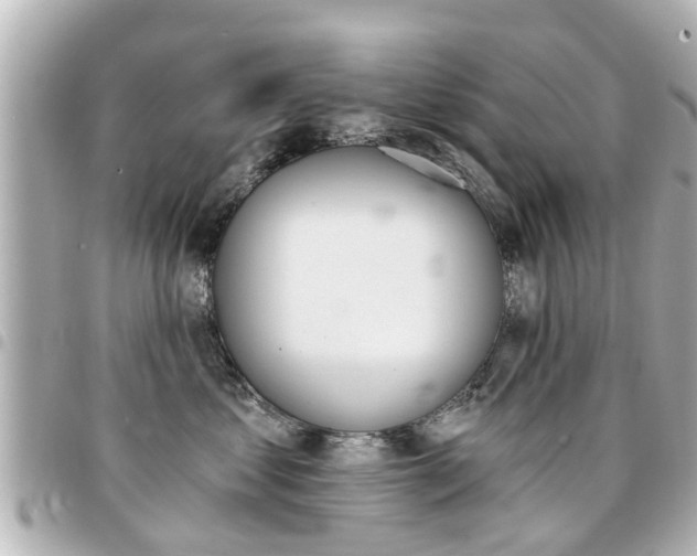 X0000094440621200711081027
