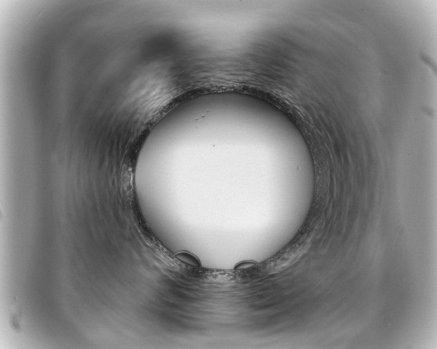 X0000094440624200711081027
